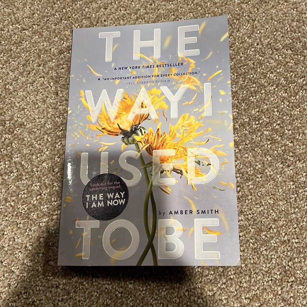 the way i used to be book